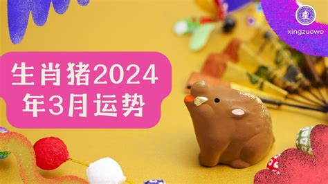 2024猪运程|生肖猪2024年运程 生肖猪2024年每月运势大全